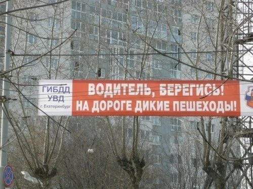 Маразмы месяца