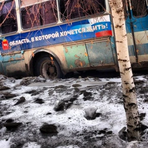Маразмы месяца