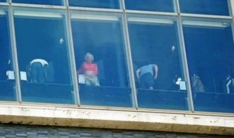 Прозрачные уборные развлекают жителей Нью-Йорка