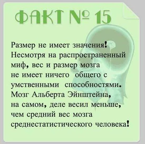 Факты о мозге