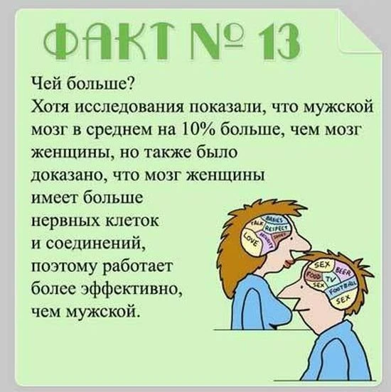 Факты о мозге