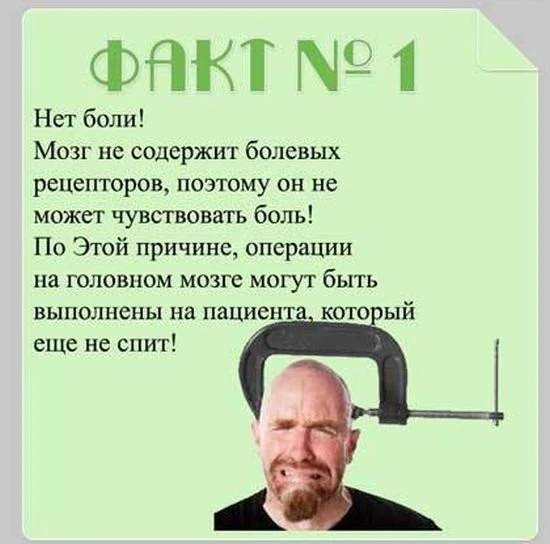 Факты о мозге