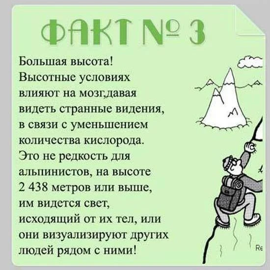 Факты о мозге