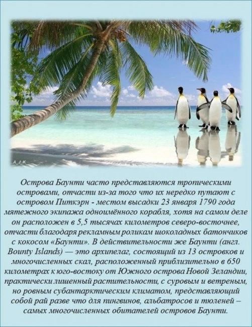 Познавательные факты