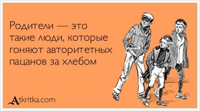 Прикольные выражения и фразы с просторов сети