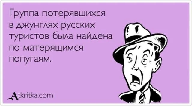 Прикольные выражения и фразы с просторов сети