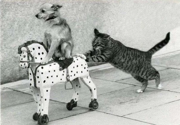 Больше, чем просто фотография