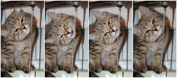 Больше, чем просто фотография