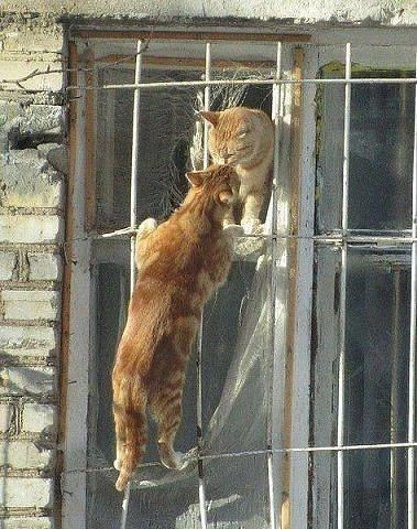 Больше, чем просто фотография
