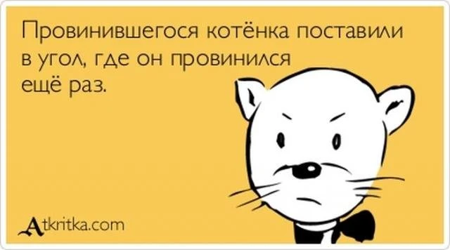 Смешные фразы под названием 