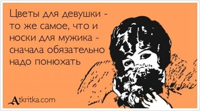 Смешные фразы под названием 