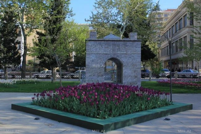 Баку готовится к Празднику цветов