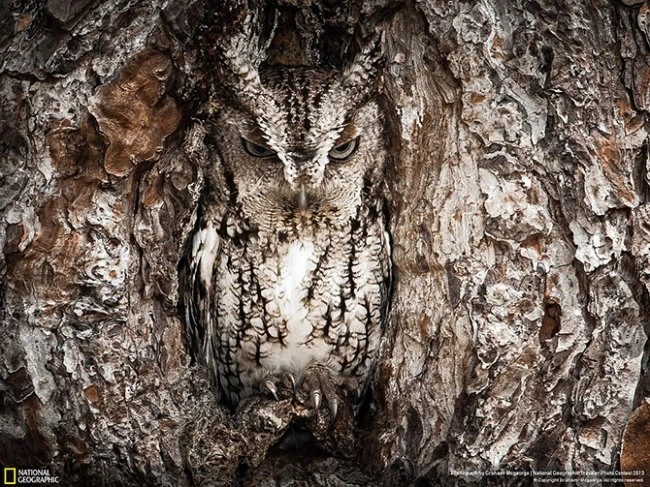 Конкурс фотографий National Geographic Traveler