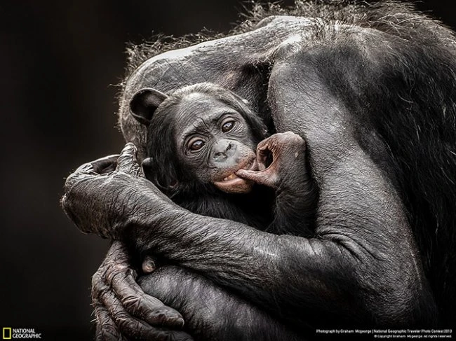 Конкурс фотографий National Geographic Traveler