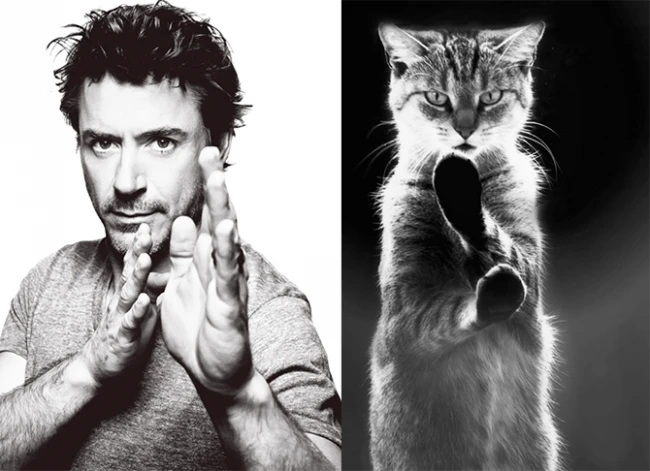 Коты vs Мужчины