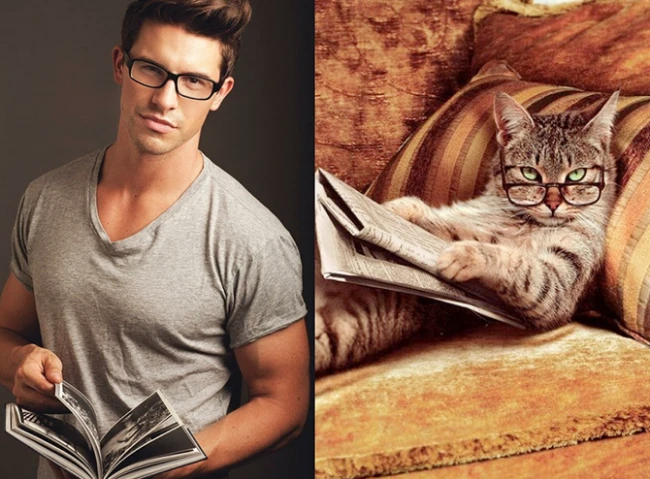 Коты vs Мужчины