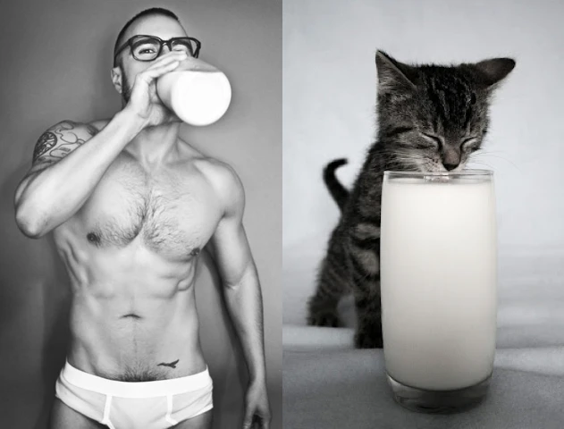 Коты vs Мужчины