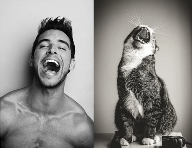 Коты vs Мужчины