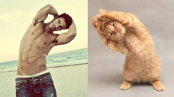 Коты vs Мужчины