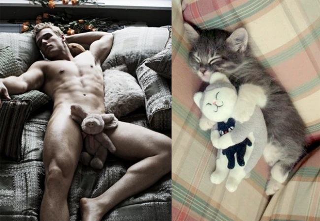 Коты vs Мужчины