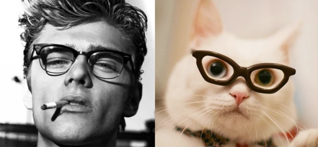Коты vs Мужчины