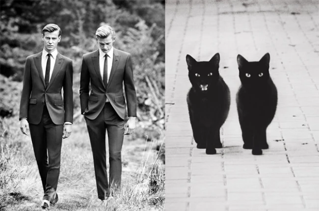 Коты vs Мужчины