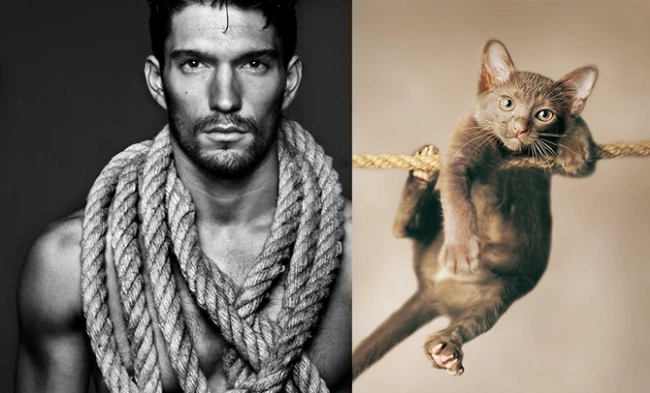 Коты vs Мужчины