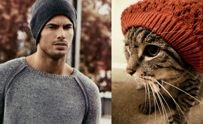 Коты vs Мужчины