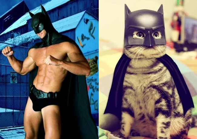 Коты vs Мужчины