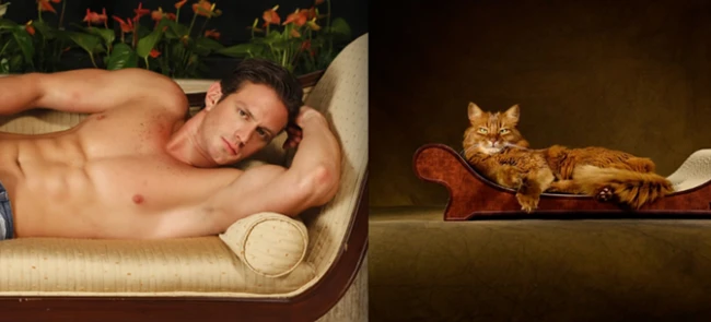 Коты vs Мужчины