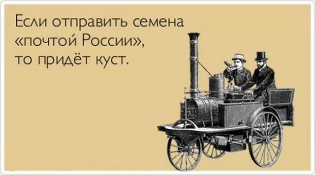 Забавные 