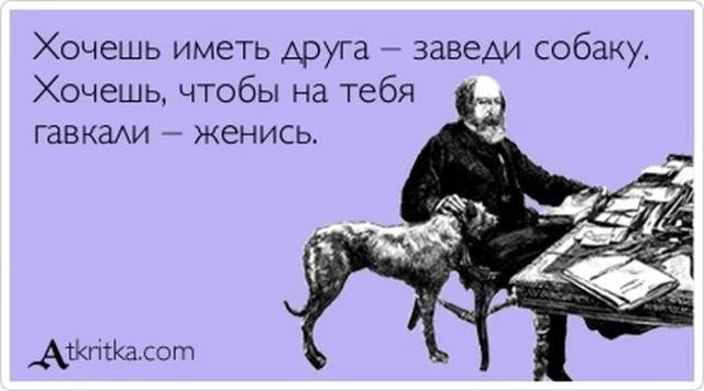 Забавные 