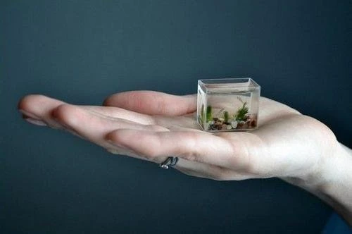 Самые маленькие гаджеты дивайсы в мире