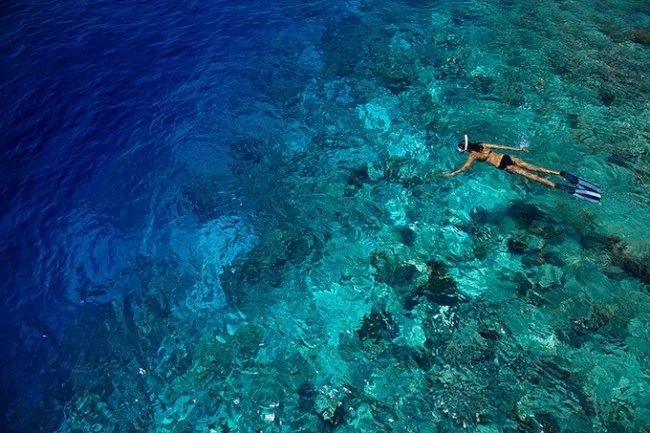 Отель Dusit Thani Maldives на острове Баа Атолл