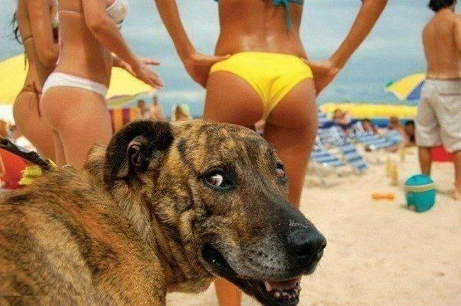Больше, чем просто фото