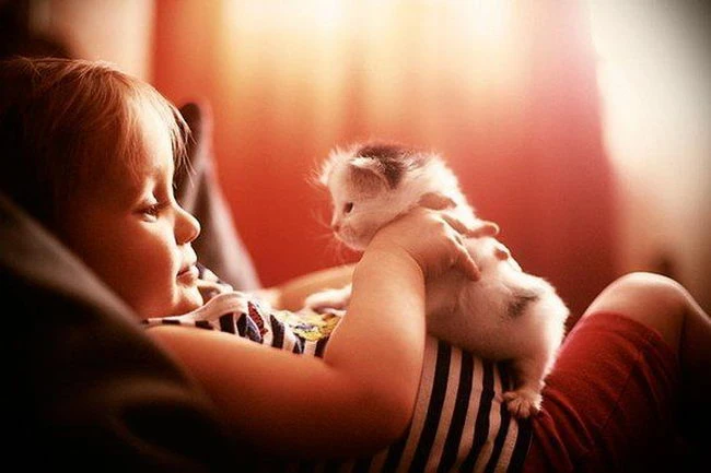 Больше, чем просто фото