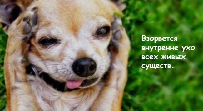 Что случится на Земле, если кислород пропадет на 5 секунд