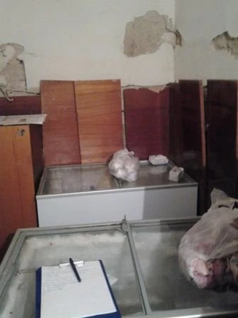 В бакинском детском саду обнаружены крысы