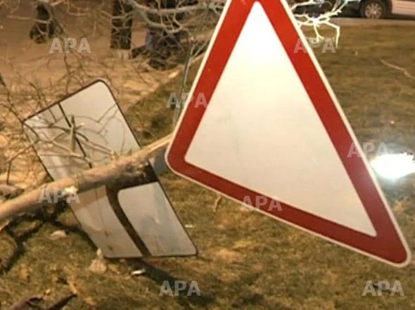 В Баку автомобиль врезался в дерево
