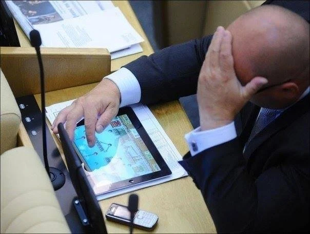 Чем занимаются депутаты в Госдуме?