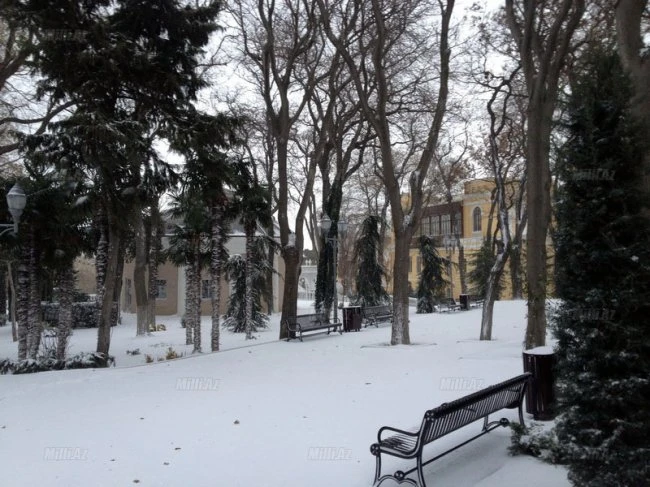 Снег в Баку
