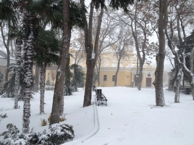 Снег в Баку
