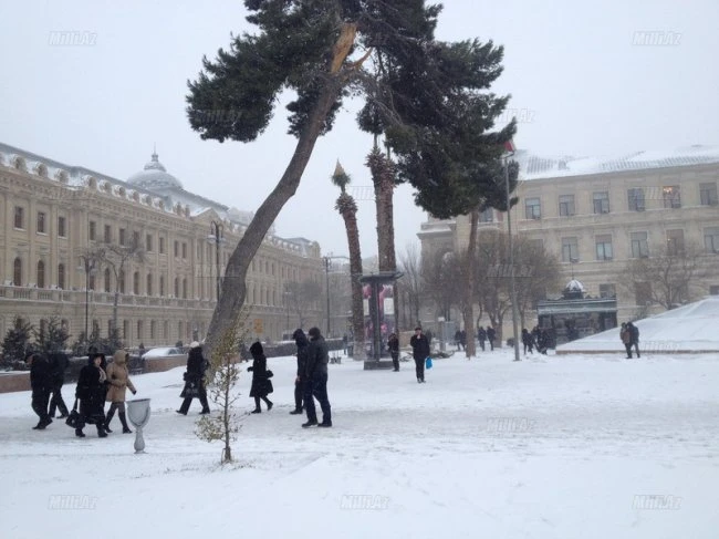 Снег в Баку