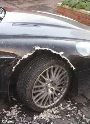 Собака погрызла дорогостоящий Aston Martin