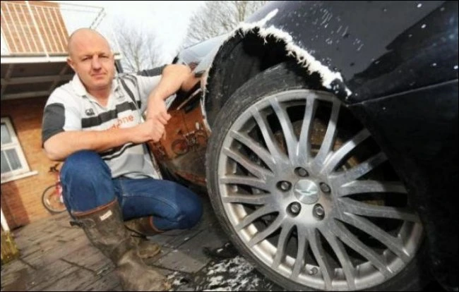 Собака погрызла дорогостоящий Aston Martin