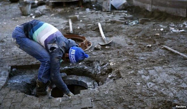 В Сочи красят газоны