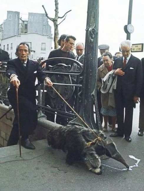 Архивные фотографии знаменитостей
