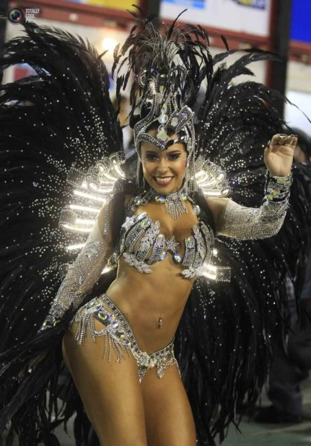 Бразильский карнавал 2014