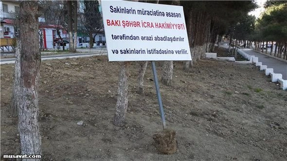 В Баку проводят акцию против вырубки деревьев