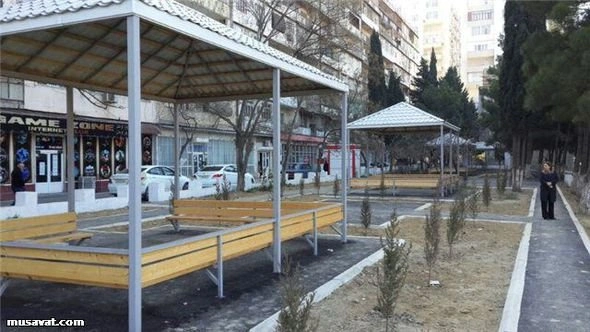 В Баку проводят акцию против вырубки деревьев